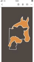 Letterkenny small animal hospital