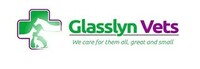Glasslynvets.ie