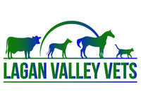 lagan valley vets ltd