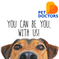 Pet Doctors New Zealand