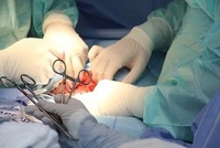 Veterinary Orthopaedic Services