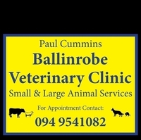 Paul Cummins Ballinrobe Veterinary Clinic.