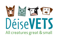 Deise Vets