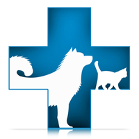 Portlaoise veterinary clinic