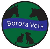 Borora Veterinary Services