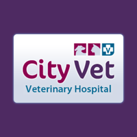 City Vet