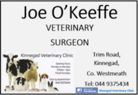 Joe O'Keeffe Vets, Trim Road, Kinnegad.