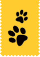 Sandycove Veterinary Clinic