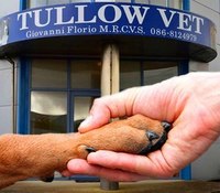 Tullow Vet
