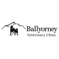 Ballyorney Veterinary Clinic