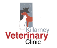 Killarney Veterinary Clinic