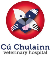 Cú Chulainn Veterinary Hospital