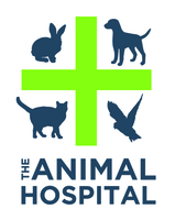 Animal Hospital