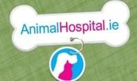 Animal hospital ltd