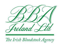 BBA Ireland Limited