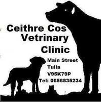 Ceithre Cos Vet Clinic