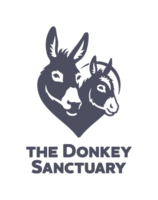 The Donkey Sanctuary Ireland