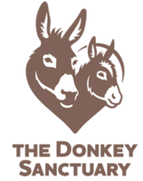 The Donkey Sanctuary