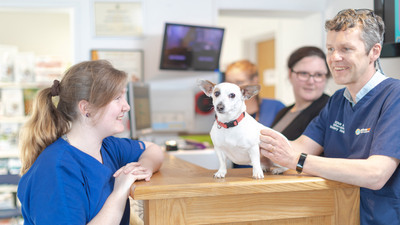 Santry Veterinary Clinic