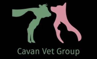 Cavan Vet Group