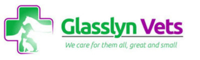 Glasslyn Vets Bandon