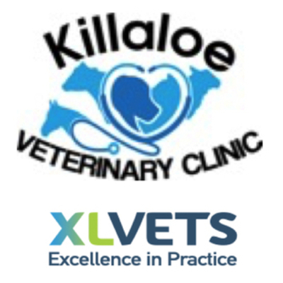 Killaloe Veterinary Clinic