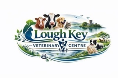 Lough Key Veterinary Centre
