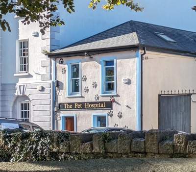 The Pet Hospital
