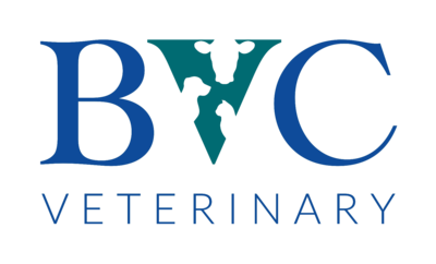 Blarney Veterinary Clinic