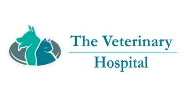 Gorey Veterinary Hospital