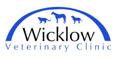 Wicklow Veterinary Clinic