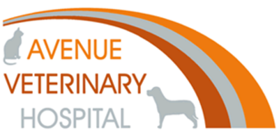 Avenue Veterinary Hospital